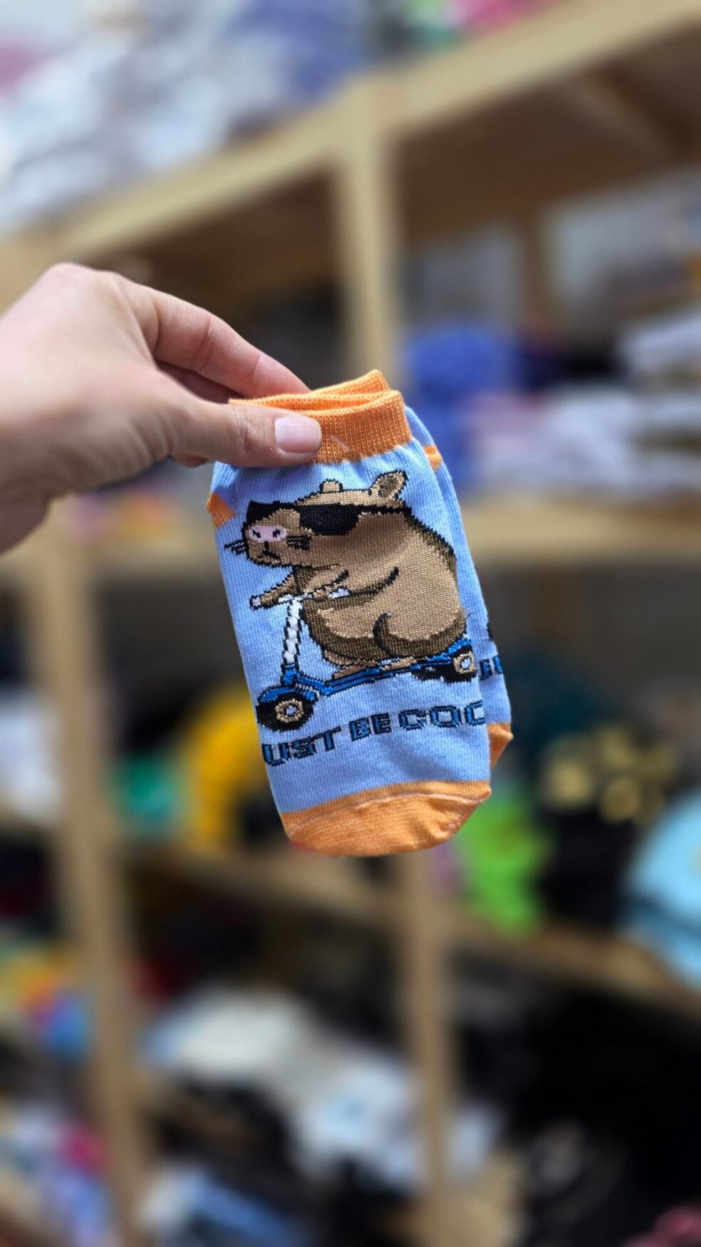 Kids Soquete Carpincho Capy Bara Monopatin - CSK